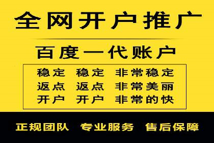SEM推广竞价案例：提升广告投放效果